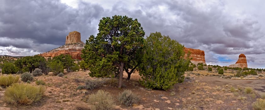 White Mesa