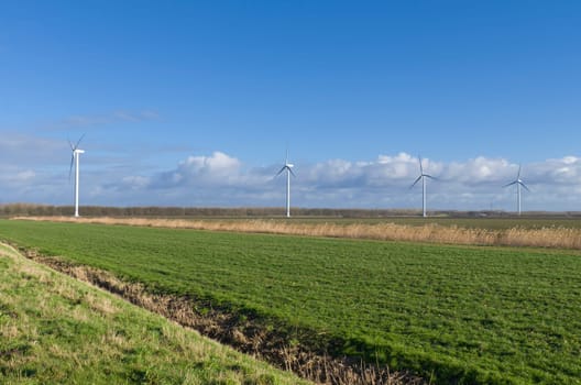 row of windmills in an agricultural landscape in the netherlands