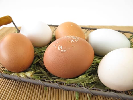 Eggs with natural colouring