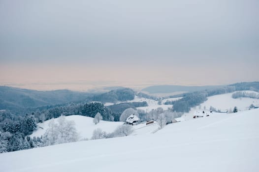 Winter wonderland