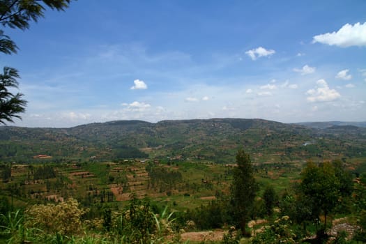 The beautiful lush hillside country of Rwanda and its many terraced farms