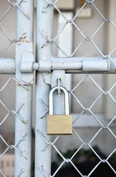 Brass padlock and metal door