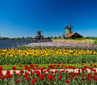 Photo of windmill in Holland with blue sky