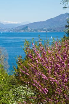 view of Verbania landscape