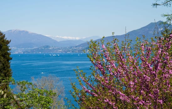 view of Verbania landscape