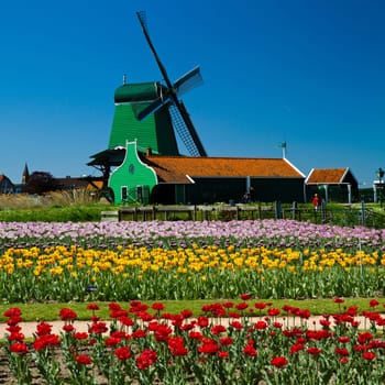 Photo of windmill in Holland with blue sky