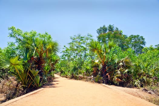 Generic horizontal landscape of a red gravel driveway lined with tropical plants at at curve in the road. A small bridge and edged by a bamboo railing. Shot location, Tamil Nada, India