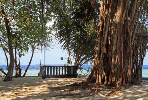 The swing on the beach