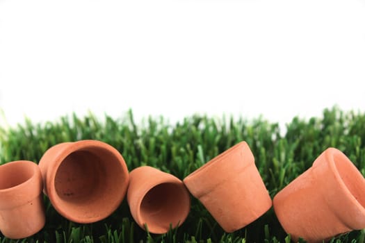 Pots and grass border with copy space