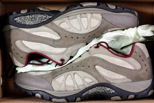 New trainers in a shoebox