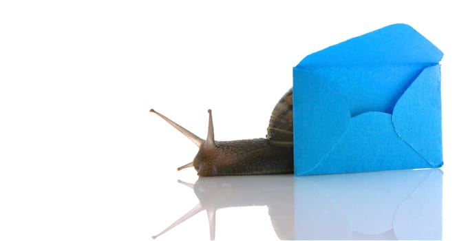 Snail mail concept on white background