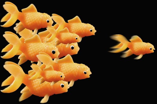 Goldfish ahead of the race on a black background