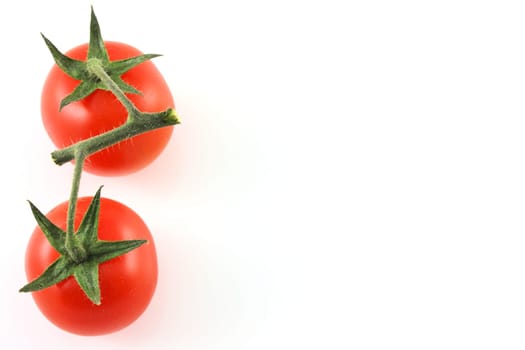 Vine tomatoes on left edge, copy space