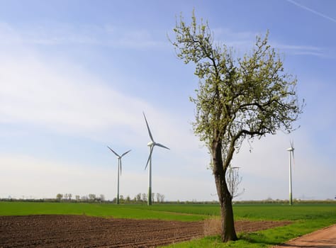 Wind turbines and a tree in a field
