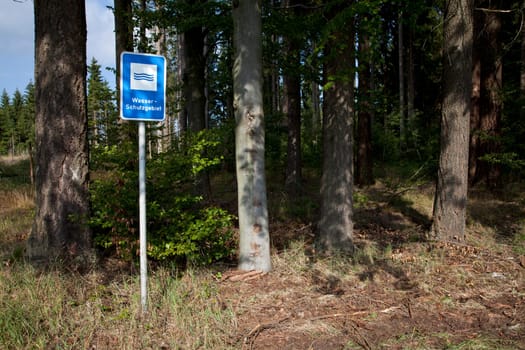 Water protection area and trees at the edge of the forest