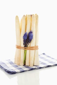 white asparagus