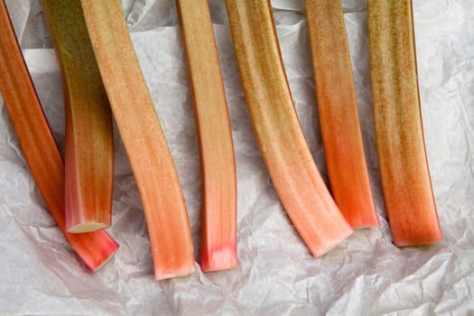 Rhubarb