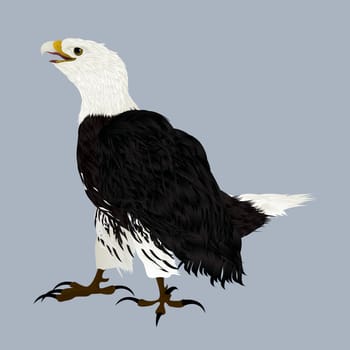 Illustration of an american eagle
