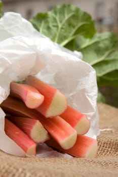 Rhubarb