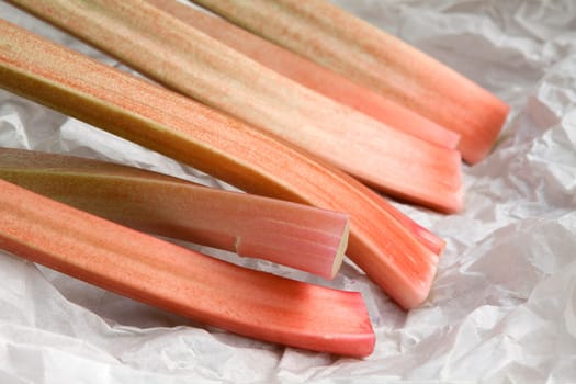 Rhubarb