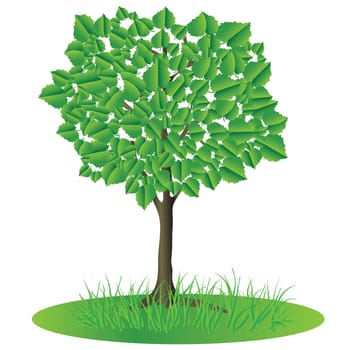 colorful illustration with  green tree for your design