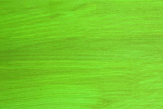 a light green texture with wooden structure