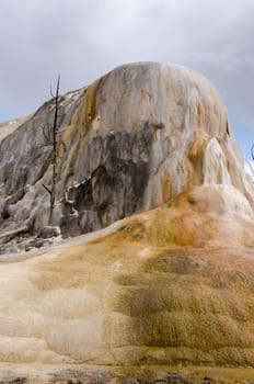 geyser at Mammoth Hot Springs in Yellowstone National Park in Wyoming