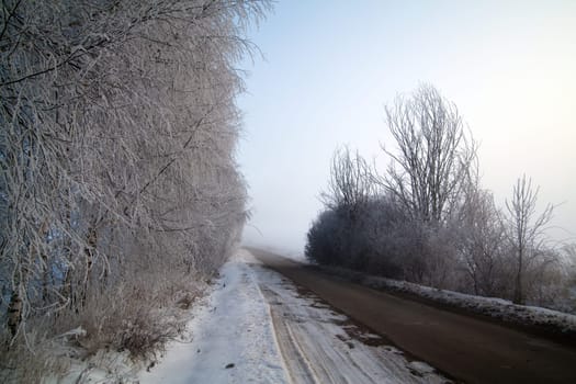 Winter landscape at sunny frozen morning