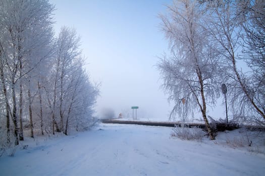 Winter landscape at sunny frozen morning