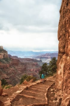 Grand Canyon Kaibab trail
