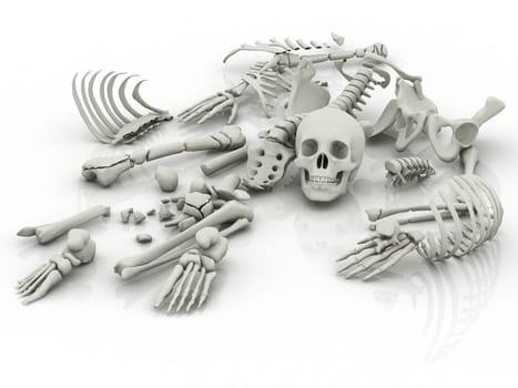 Skeleton parts on the floor