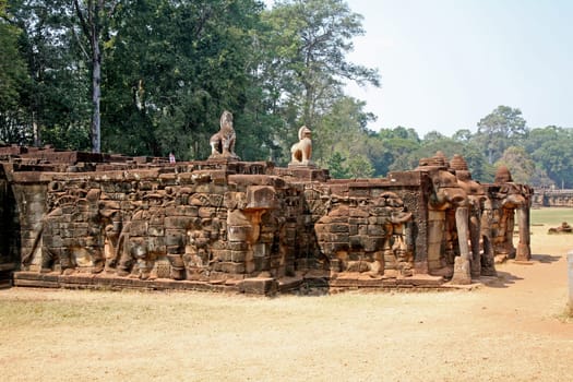 Elephant Terrace