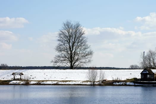 Die Fotografie eines Baumes, der im Winter auf einem Deich steht.