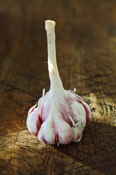 Whole fresh garlic bulb with its attached stalk for hanging and storing and a cluster of juicy cloves on an old wooden board