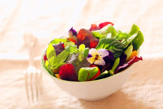 Fresh nasturtium and herb salad with an assortment of healthy leafy greens served as an individual portion in a white dish as an accompaniment to a meal