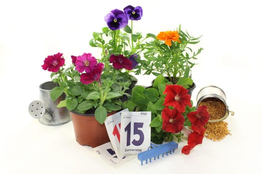 a bucket of slow-release fertilizer against a white background