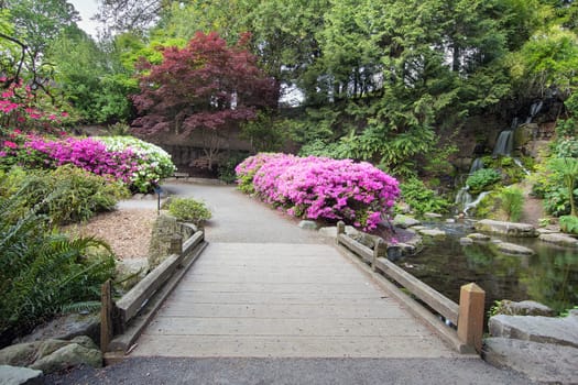 Foot Bridge across Waterfall Pond at Crystal Springs Rhododendron Garden in Spring Season