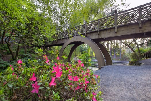 Arch Wooden Foot Bridge at Crystal Springs Rhododendron Garden with Azaleas Blooming in the Foreground