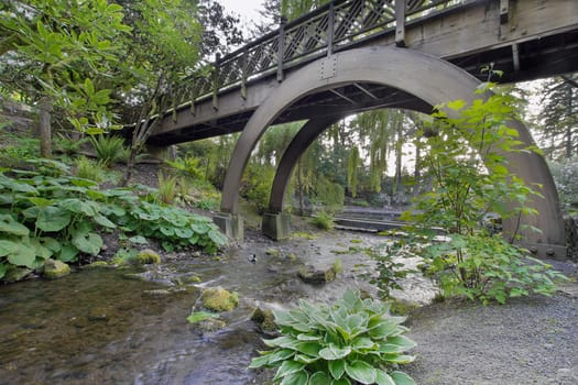 Stream Flowing Under the Wooden Bridge Arches at Crystal Springs Rhododendron Garden