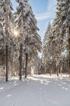 in winter