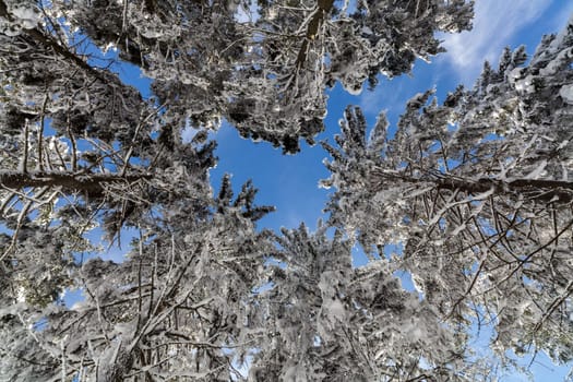 in winter