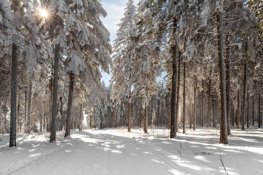 in winter