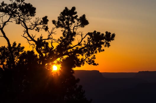 sunset at Mother point in the Grand Canyon in Arizona