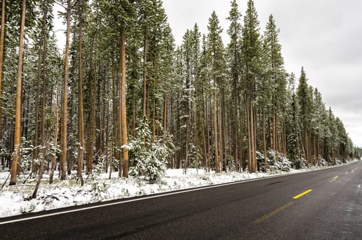 snowy road in the summer in Yellowstone National Park in Wyoming