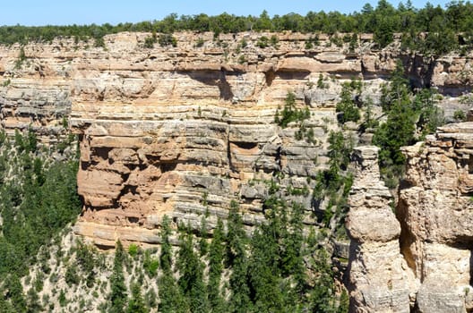overview in the Grand Canyon in Arizona in the United States of America