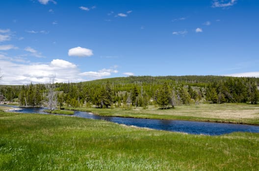 Yellowstone River in Yellowstone National Park in Wyoming
