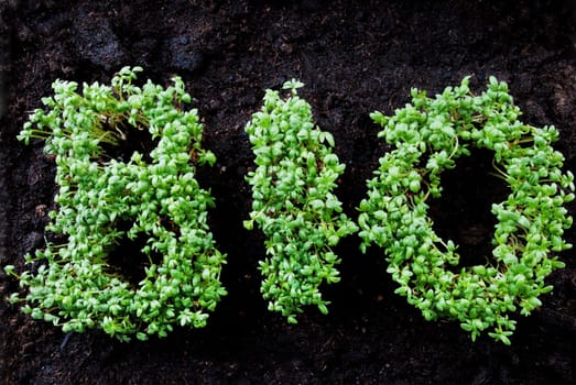 the word BIO written with fresh grown cress