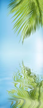 Caribbean