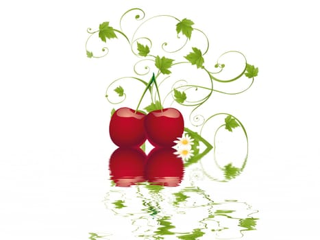 Cherry
