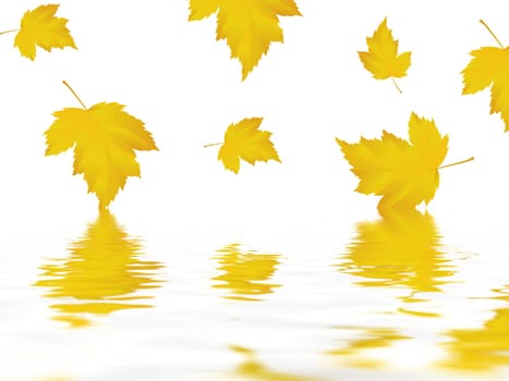 Leaf